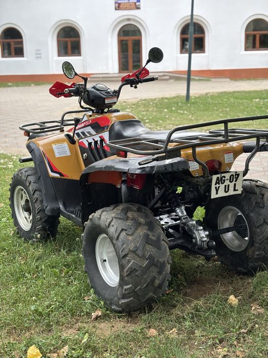Vand Linhai 300 4x4