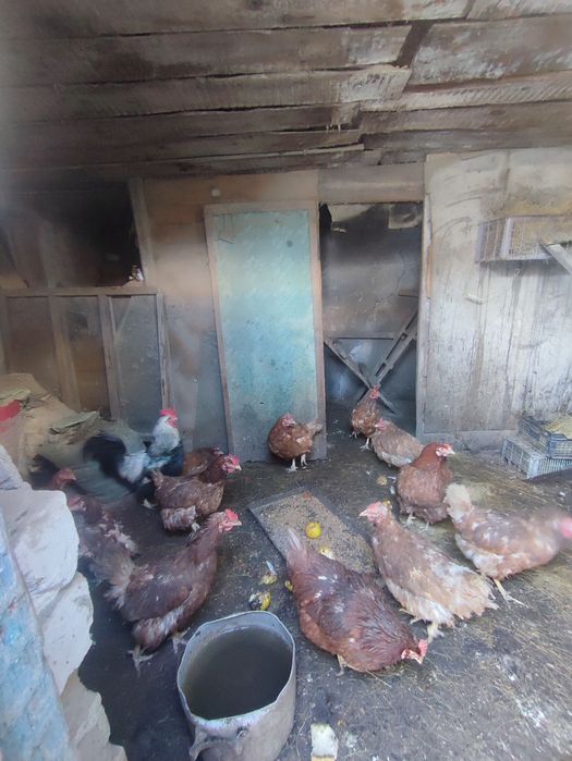 Продам дом в 2-м рабочем поселке