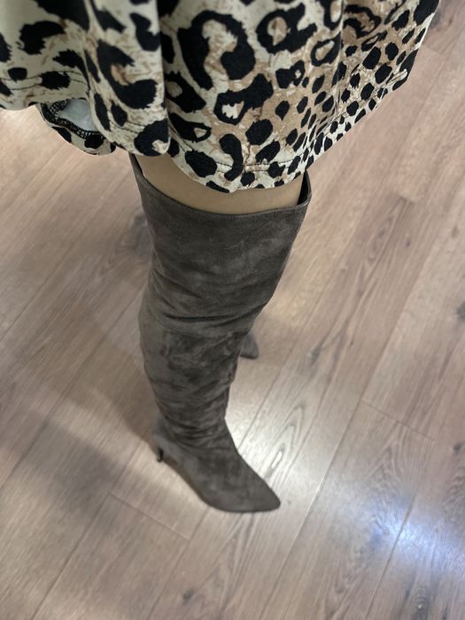 Демисезонные ботфорты Vitacci нат. замша р.36