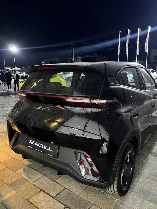 BYD Seagull AVTO KREDİT, Lizing