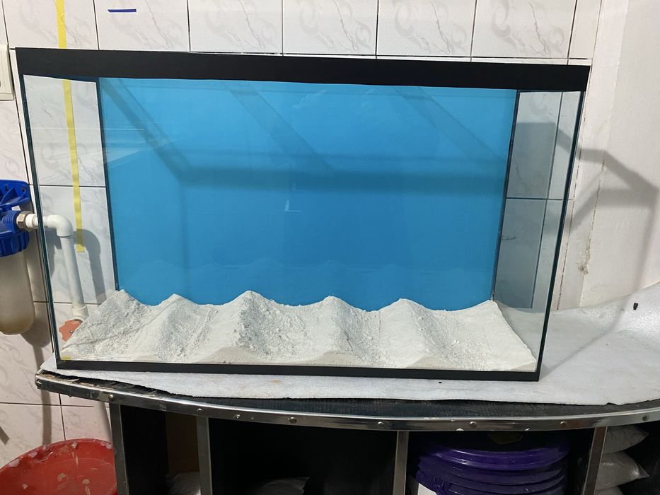 aksiya akvarium ‼️‼️‼️