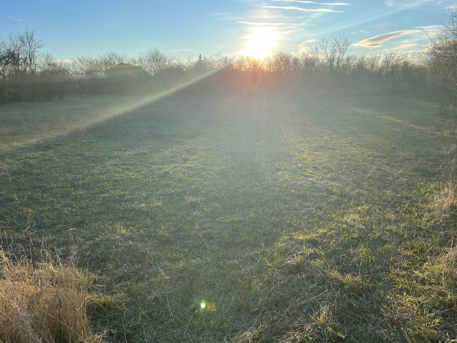 Продава се Парцел в с. Борован, Област Враца - 4000 кв.м за 16 €/кв.м - Снимка #6