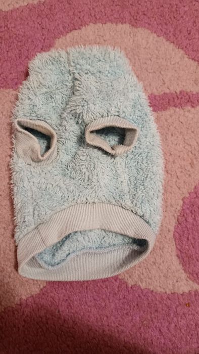 Одежда для собаки