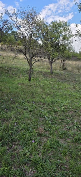 Teren zona superba