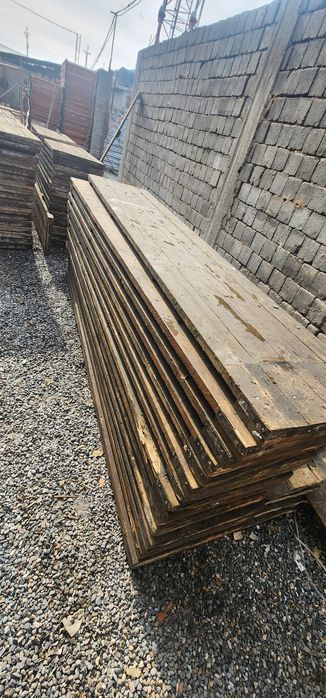 Apalofka  lesa stoyka