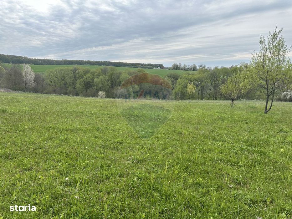 Teren 3,000mp Oslobeni / Strada Oslobeni punct GRADINA