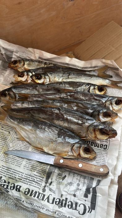 Рыбец. Рыба Атырауская сушенная