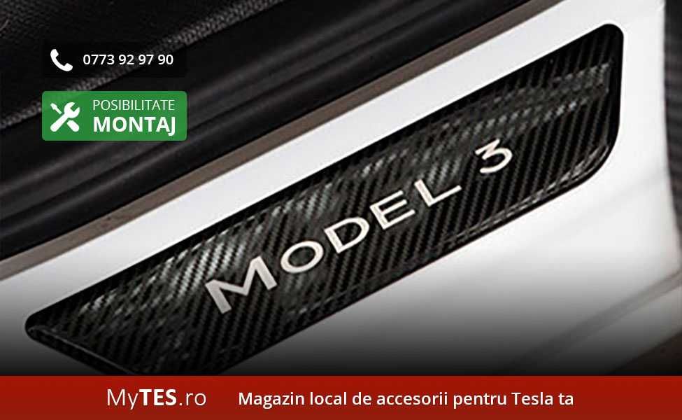 Ornamente INOX praguri (argintii / negre / carbon) - Tesla Model 3