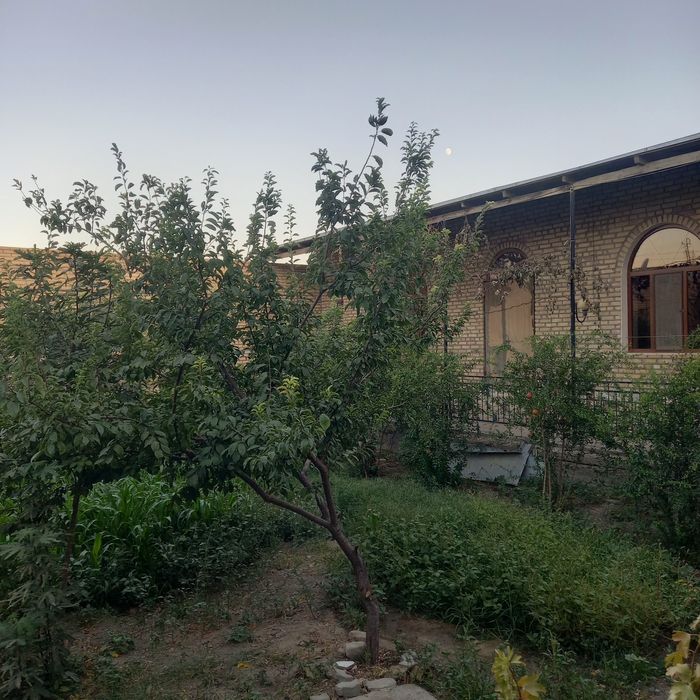 ховлининг ярми сотилади