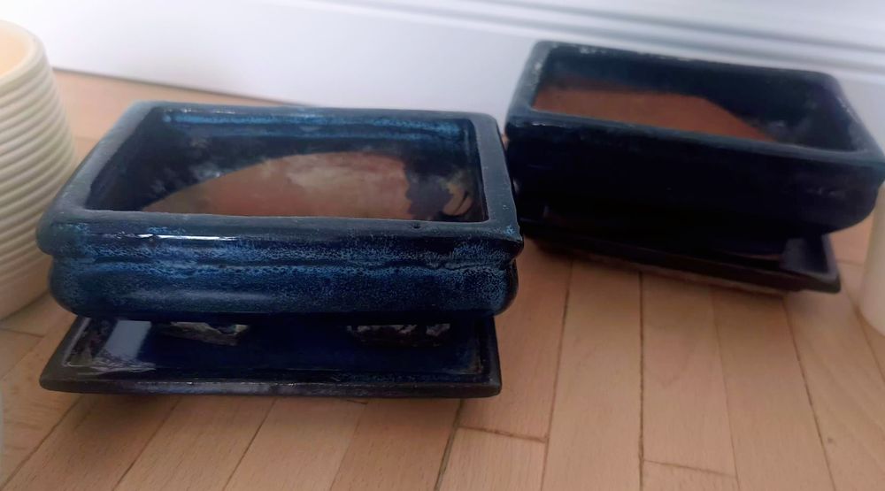 Ghivece bonsai si masti flori