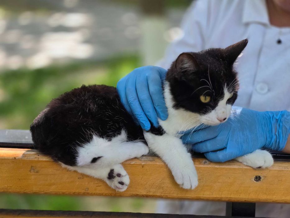 Особенный красавчик Мурзик ищет любящую семью