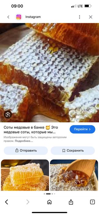 Мед горный натуральный из первых рук оптом и в розницу