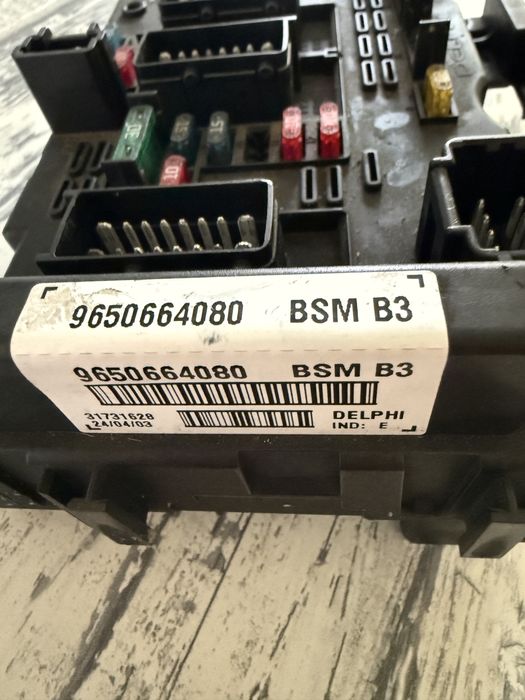 BSM DELPHI B3 работещ