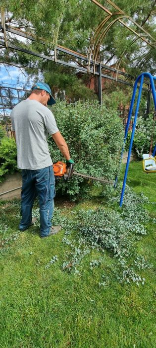 Услуги професиональных садовников