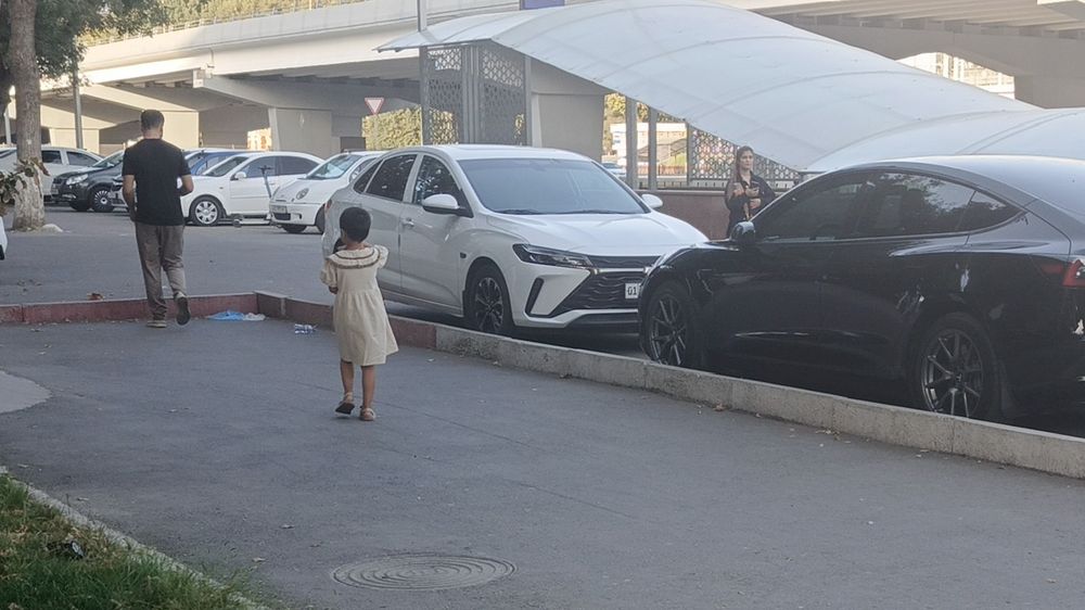 Монза 1,5 атмос.