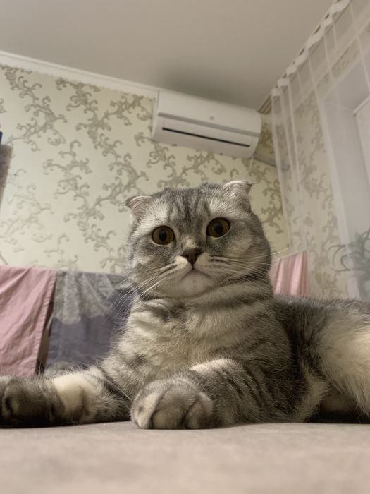 Продам стиральную машину