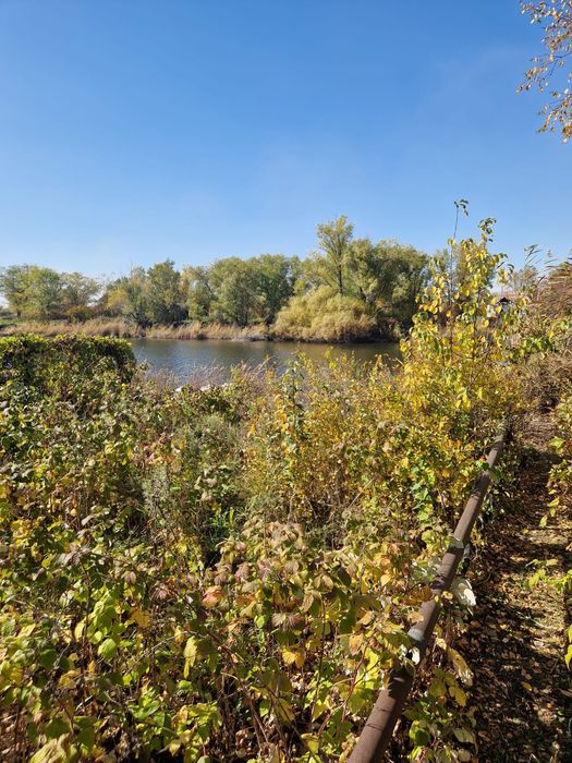 Продаю дачу Черёмушки