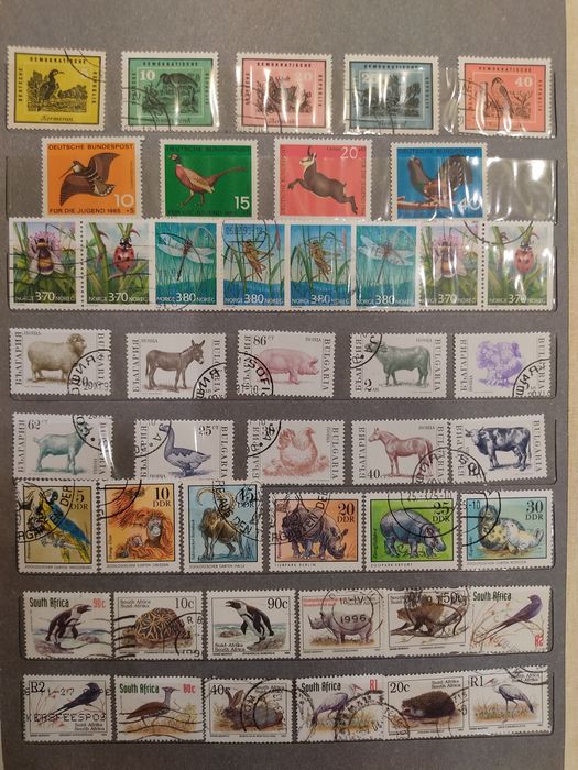 Почтовые марки. Альбом "Животные".