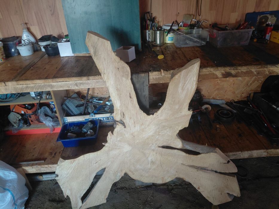 Blaturi molid uscate de 8 ani aștept oferte