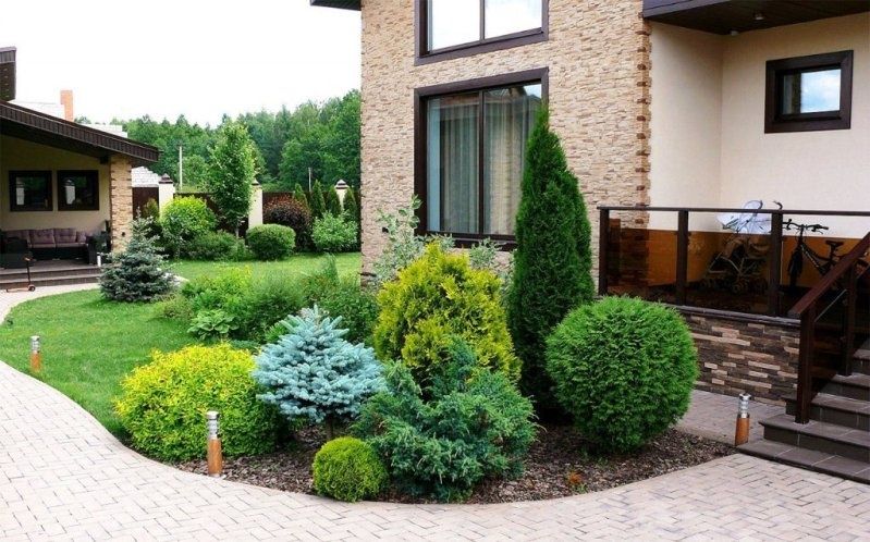 Озеленение газон посев уход ландшафт дизвйн