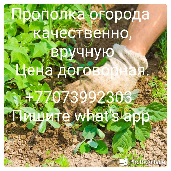Прополка огорода