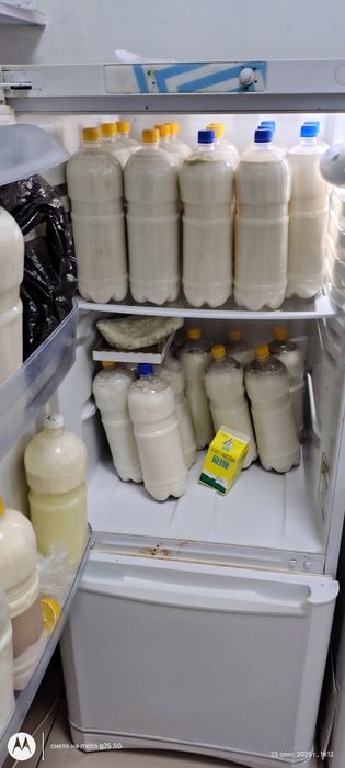 Продам холодильник двух каменный