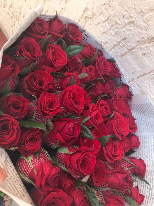 Роза оптом бағада чёрная магия сорты