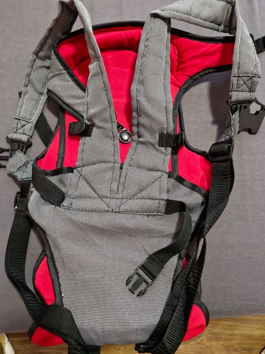 Кенгуро чиполино