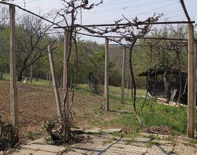 пречупени бетонни колове (здравите се продадоха) - цена на бройка