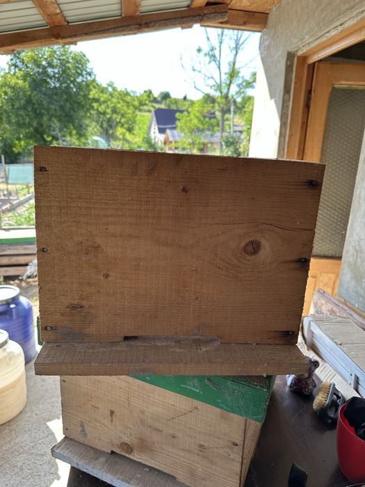 Lazi pentru familii de albine