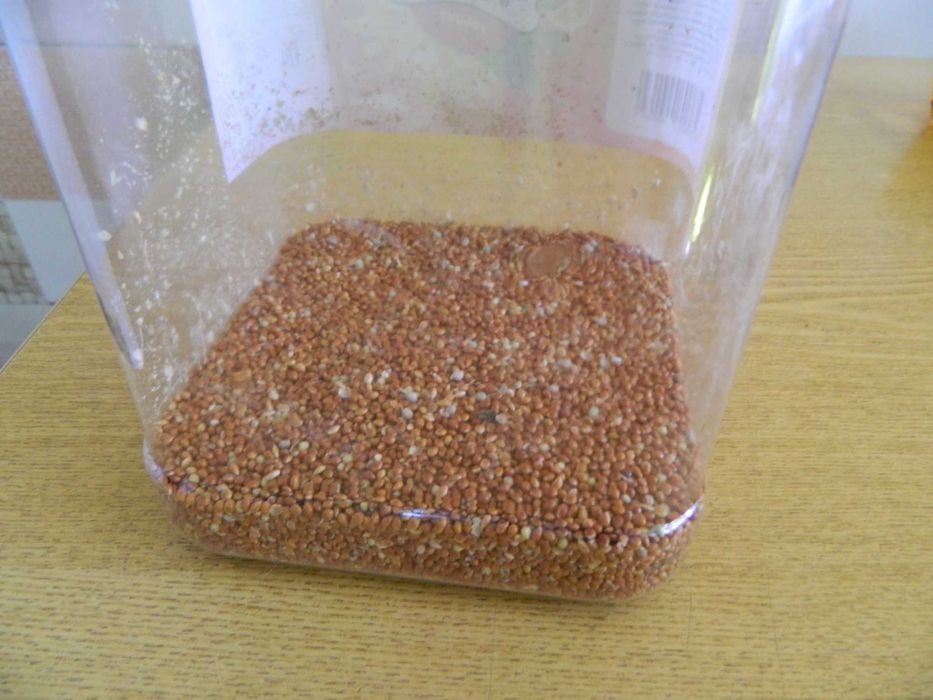 Продам  красное просо