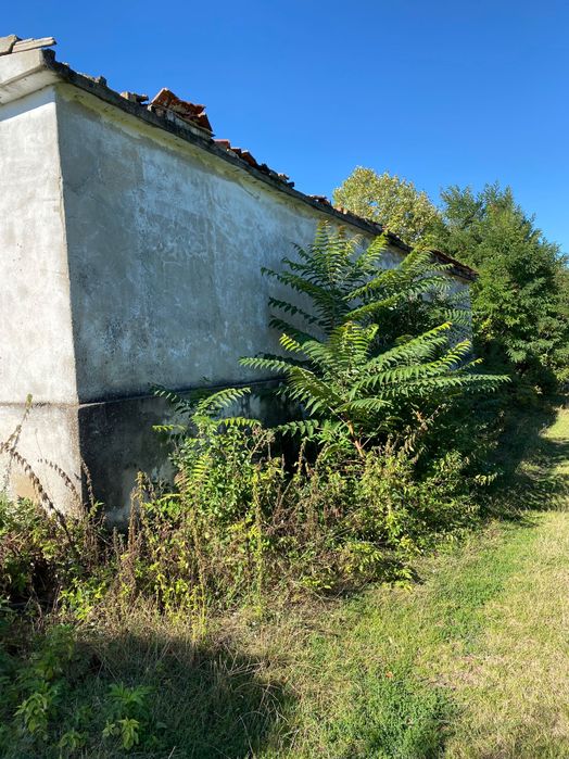 Продава се Къща в Провадия - 67 кв.м за 457 €/кв.м - Снимка #3