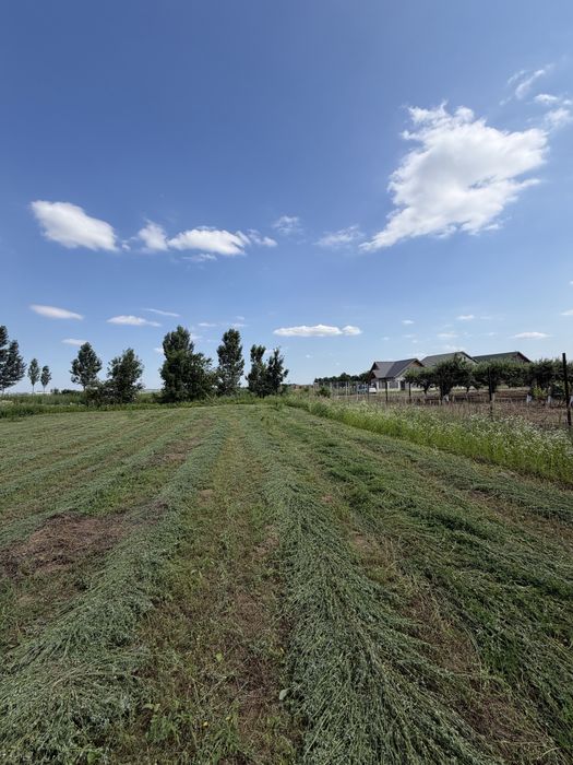 Teren intravilan 5000 mp/parcelabil de vânzare – Zorești, com. Vernești, jud. Buzău