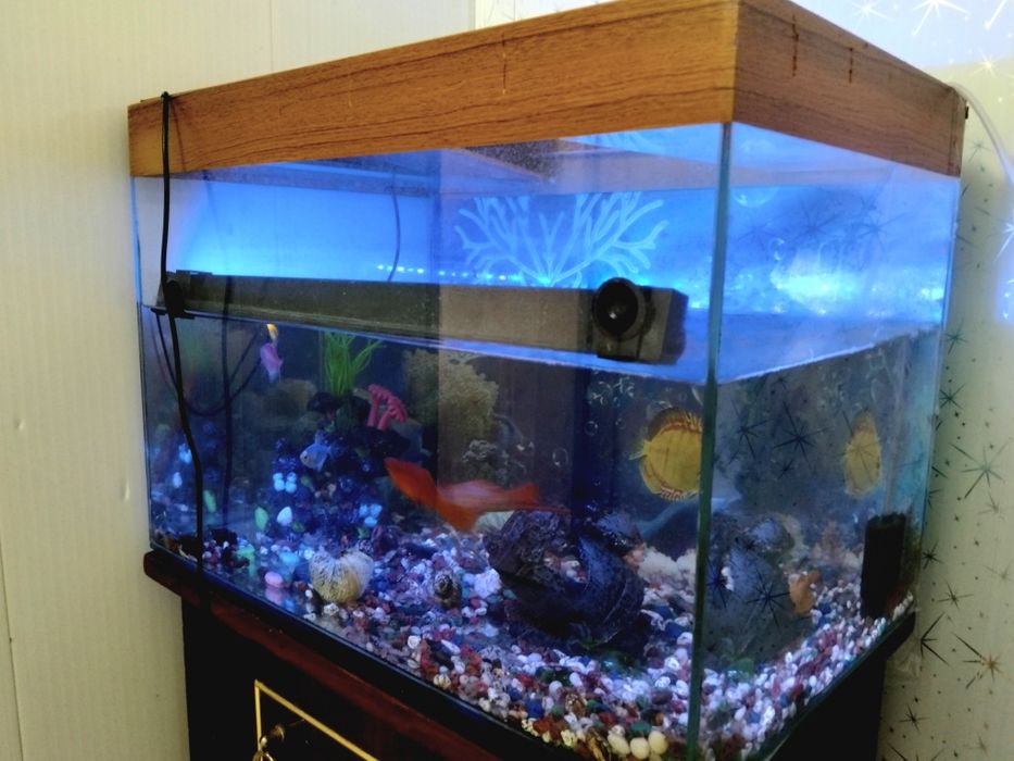 Аквариум 40 литров