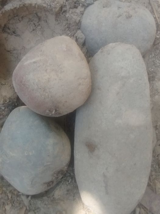 Тош ярим мошина чикади текинга