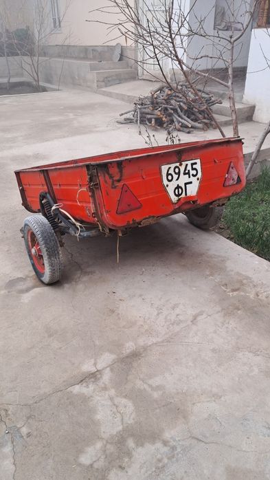 Moshina prsepi holati ortacha