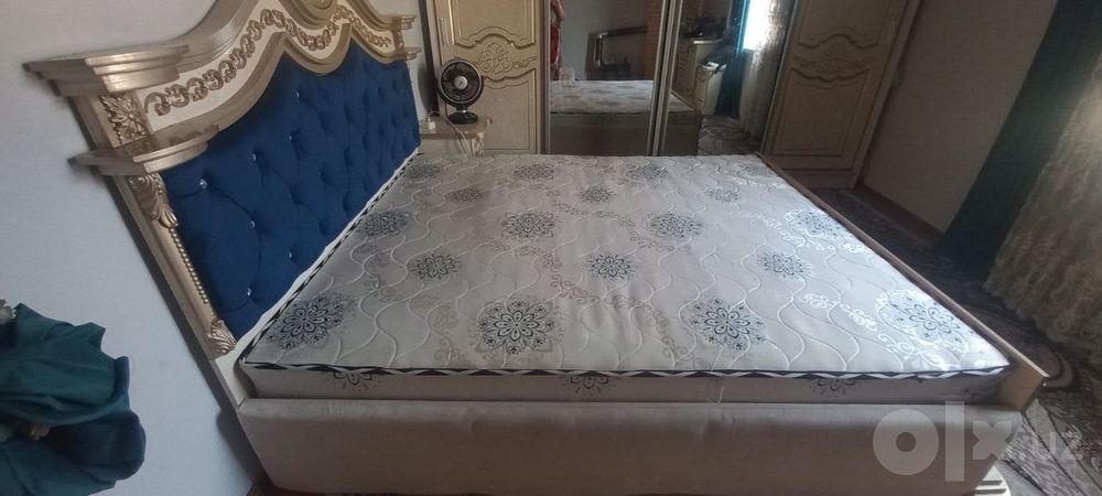 Двухспални сотилади