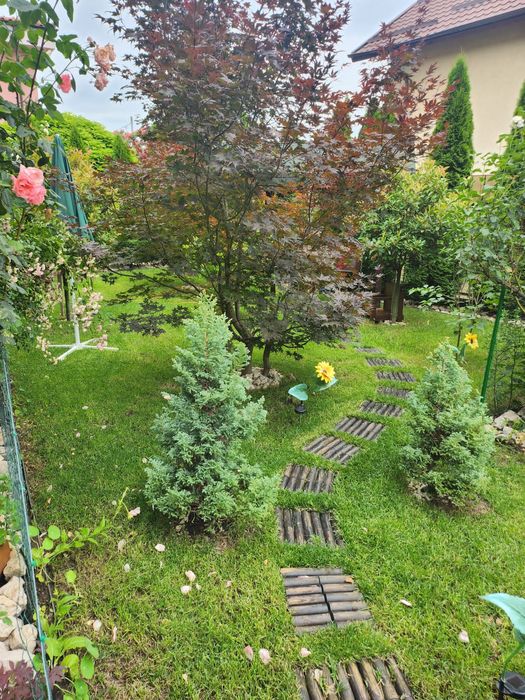 Vând casa în Câmpina