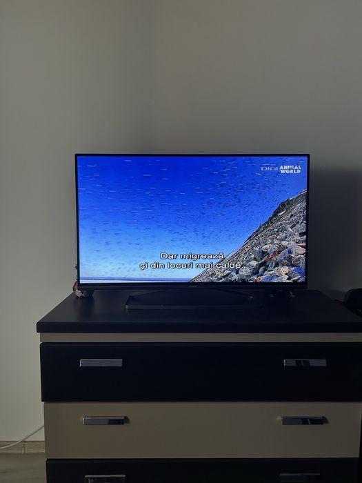 Vand Smart TV Philips