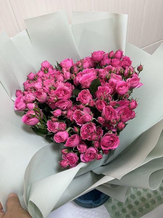 розы, цветы, кустовые розы