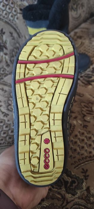 Продаю сапожки ECCO