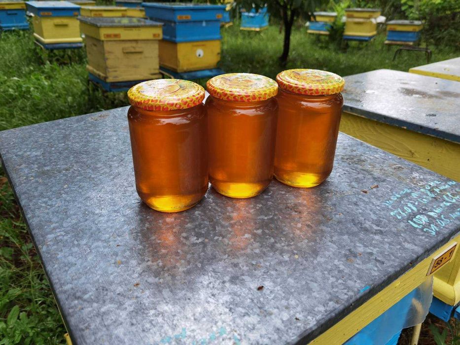 Пчелен билков мед 2025г за Велико Търново