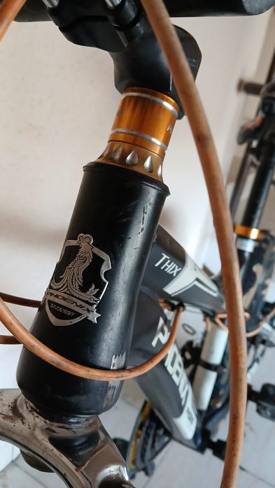 Скоростной велосипед феникс (phoenix)