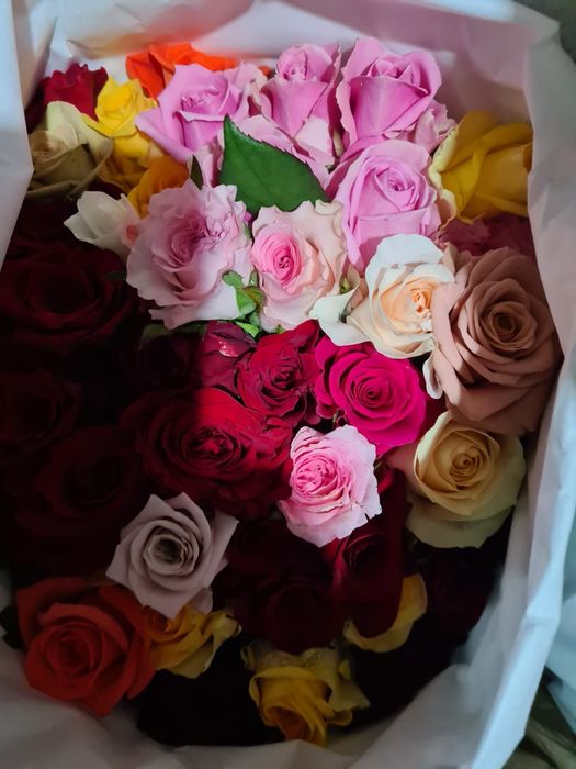 Розы ОПТОМ в пачках