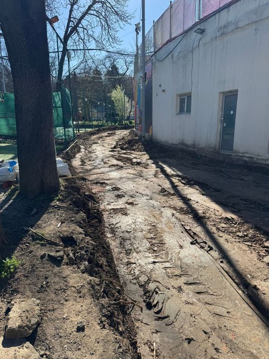 Разчистване на мазета, тавани и дворове  Рязане и премахване на опасни дървета  Озеленяване и почистване на терени АсфалтиранеБОЖИДАР  089 546 4595