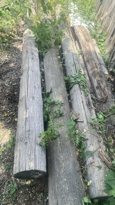 борене белдик бревно продам