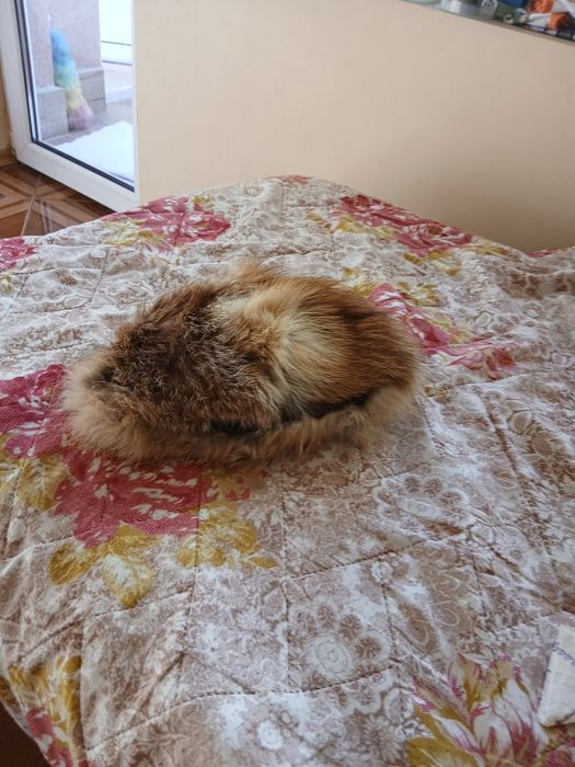 Зимна шапка от лисица