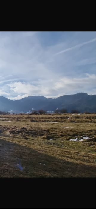 Vand teren intravilan zarnesti