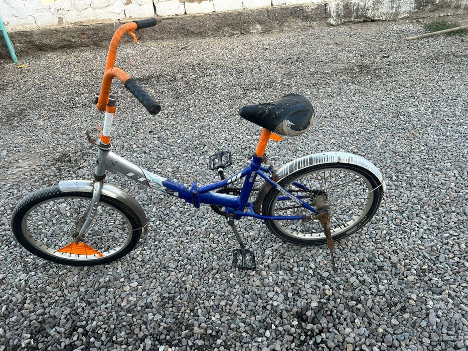 Даусы сапада озим аидагам