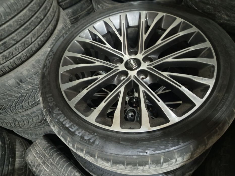 Bestium moshinani arginal diskasi